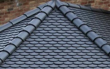 Beautiful Biber plain clay tiles