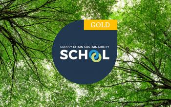 Gold membership level in Supply Chain Sustainability School