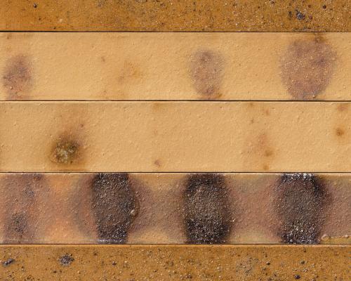 Venus - Linea Long Format