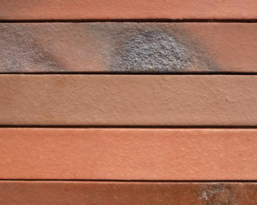 Omega - Linea Long Format