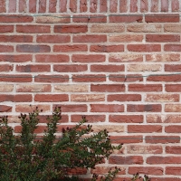 50mm Old-Anglian square wall 50mm Old-Anglian square wall